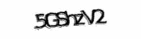 Security check image, please type the characters shown